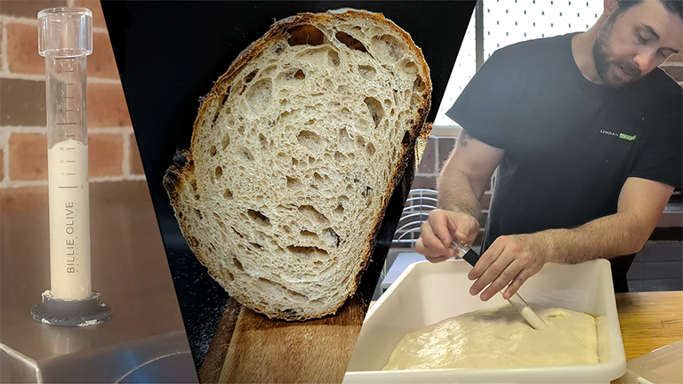 How to Perfect Sourdough Bulk Fermentation