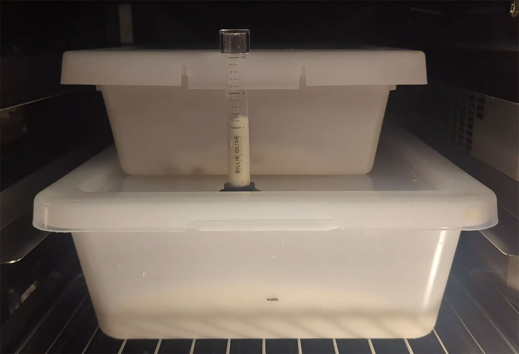 Monitoring the dough sample in my homemade proofing box.