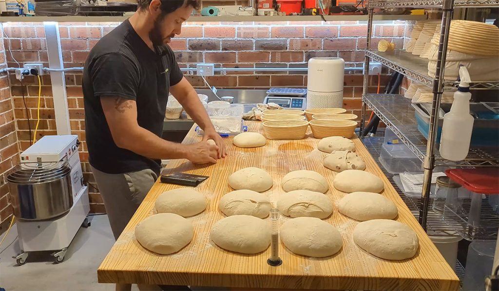 Shaping the sourdough as the aliquot jar approaches 50% rise at 25 °C (77 °F).