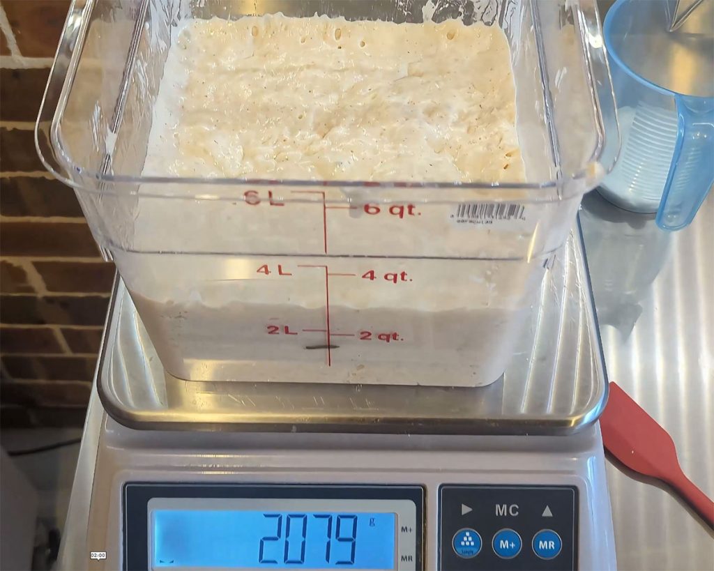 Weighing Sourdough Starter