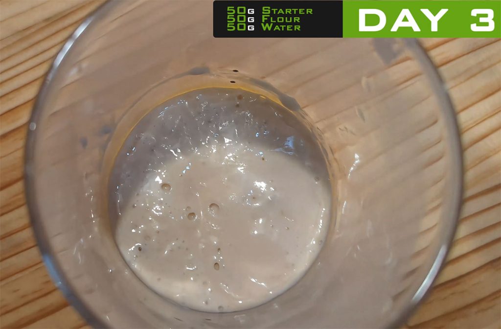 Day 3 sourdough starter – first feeding and signs of bubbles
