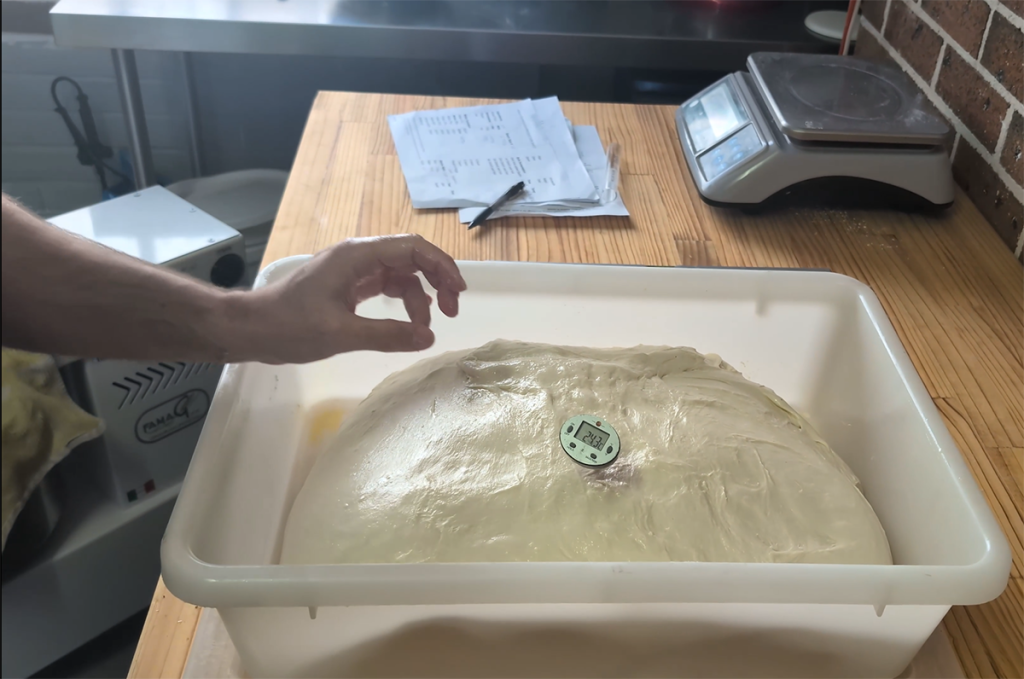 Sourdough now ready for bulk fermentation